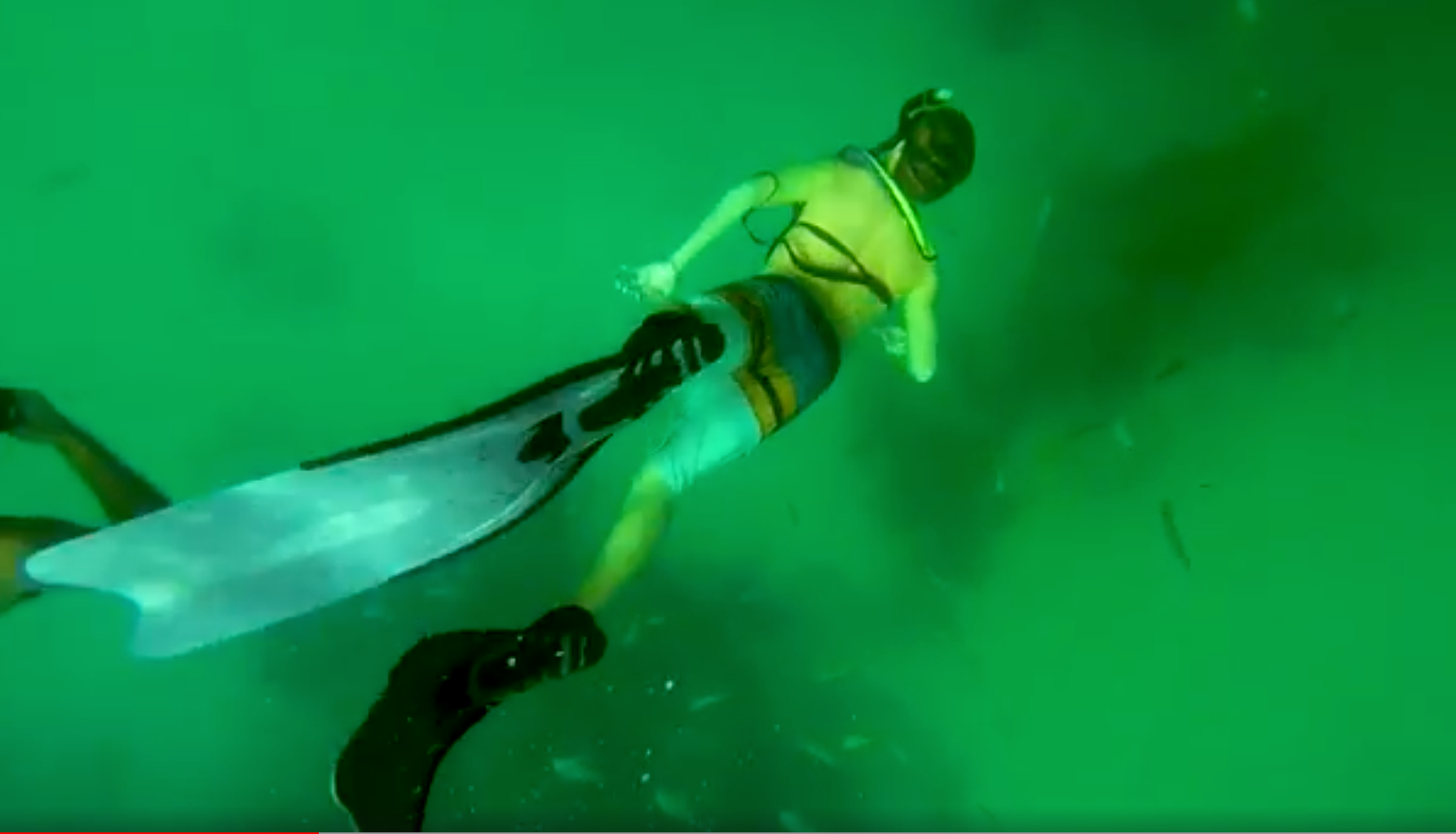 Snorkeler diving deep underwater | Media